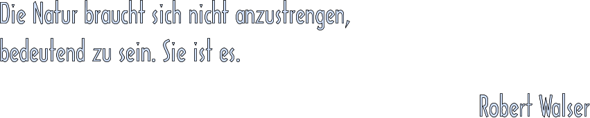 Die Natur braucht sich nicht anzustrengen, bedeutend zu sein. Sie ist es. Robert Walser Die Natur braucht sich nicht anzustrengen, bedeutend zu sein. Sie ist es. Robert Walser