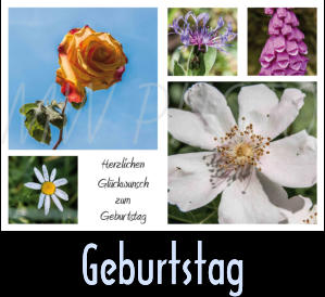 Geburtstag Geburtstag