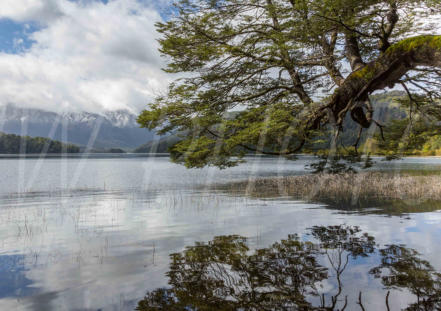 Lago Correntoso