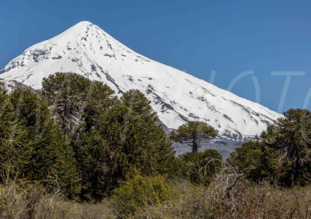 Volcan Lanin