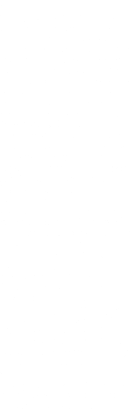 Grenzgang: im heutigen Europa ist man daran gewöhnt, ohne dass man es merkt, vom einen in das andere Land zu fahren. Meist bekommt man die Grenze gar nicht mehr mit- es sei denn man kannte die Stellen bereits vorher. Hier in Südamerika ist das noch anders. Speziell zwischen Chile und Argentinien. Beide Länder leben offiziell immer noch in einem Krisenzustand. Das merkt man zwar nicht, wenn man über die Grenze fährt. Was aber auffällt und aufhält, sind die Grenzabfertigungen beider Länder. Bei der Einreise nach Chile bekam man einen Thermopapierstreifen, der das Visum darstellte, ausgehändigt. Diesen muss man bei der Ausreise (incl. Stempel) wieder abgeben. Ein Papierkram, der verunsichert, weil man ihn nicht mehr gewöhnt ist. Ähnliches passiert bei der Einreise nach Argentinien. Zunächst wird überprüft, wie viele Passagiere im Auto sind, dann fährt man zum eigentlichen Grenzposten und muss dort zunächst in die Schlange zu Passkontrolle. Später dann noch zum Zoll (das Auto muss ebenfalls quittiert werden - auf einem Extraformblatt. Erst dann darf man weiter fahren. An einer letzten Schranke wird einem der Laufzettel, den man am Anfang der Prozedur erhalten hat, wieder abgenommen. Zwischen beiden Grenzposten befindet sich Niemandsland. Es sieht auch genauso aus. Vulkanisch geprägtes Gebirge, Reste des Schnees vom Winter, stürmischer, eisiger Wind fegt über die geografische Grenze auf der Höhe des Passes Cardenal Antonio Samoré auf rund 1300 Meter. Irgendwo ragt noch eine Felsnadel in den wolkigen Himmel. Sie ist der Lavaschlot eines jetzt schon erodierten Vulkans. Hinter dem argentinischen Grenzposten wird die Landschaft aber recht schnell wieder lieblicher und grüner. Auch einige Tiere tauchen auf. Grenzgang: im heutigen Europa ist man daran gewöhnt, ohne dass man es merkt, vom einen in das andere Land zu fahren. Meist bekommt man die Grenze gar nicht mehr mit- es sei denn man kannte die Stellen bereits vorher. Hier in Südamerika ist das noch anders. Speziell zwischen Chile und Argentinien. Beide Länder leben offiziell immer noch in einem Krisenzustand. Das merkt man zwar nicht, wenn man über die Grenze fährt. Was aber auffällt und aufhält, sind die Grenzabfertigungen beider Länder. Bei der Einreise nach Chile bekam man einen Thermopapierstreifen, der das Visum darstellte, ausgehändigt. Diesen muss man bei der Ausreise (incl. Stempel) wieder abgeben. Ein Papierkram, der verunsichert, weil man ihn nicht mehr gewöhnt ist. Ähnliches passiert bei der Einreise nach Argentinien. Zunächst wird überprüft, wie viele Passagiere im Auto sind, dann fährt man zum eigentlichen Grenzposten und muss dort zunächst in die Schlange zu Passkontrolle. Später dann noch zum Zoll (das Auto muss ebenfalls quittiert werden - auf einem Extraformblatt. Erst dann darf man weiter fahren. An einer letzten Schranke wird einem der Laufzettel, den man am Anfang der Prozedur erhalten hat, wieder abgenommen. Zwischen beiden Grenzposten befindet sich Niemandsland. Es sieht auch genauso aus. Vulkanisch geprägtes Gebirge, Reste des Schnees vom Winter, stürmischer, eisiger Wind fegt über die geografische Grenze auf der Höhe des Passes Cardenal Antonio Samoré auf rund 1300 Meter. Irgendwo ragt noch eine Felsnadel in den wolkigen Himmel. Sie ist der Lavaschlot eines jetzt schon erodierten Vulkans. Hinter dem argentinischen Grenzposten wird die Landschaft aber recht schnell wieder lieblicher und grüner. Auch einige Tiere tauchen auf.