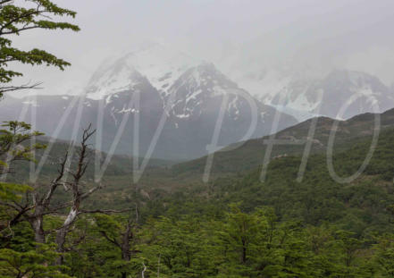 Fitz Roy Trail