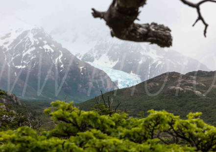 Fitz Roy Trail