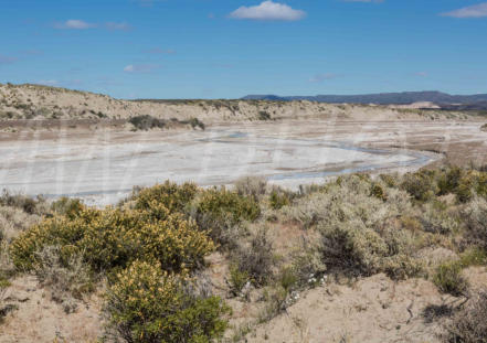 zwischen Bahia Bustamante und Ruta 3