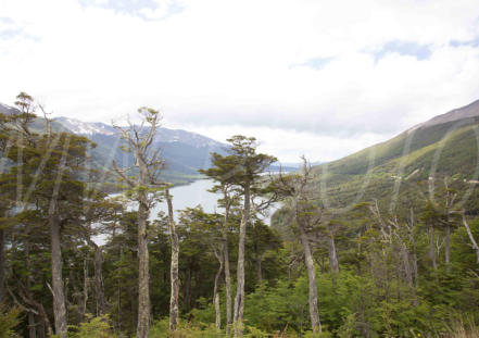 Tierra del Fuego