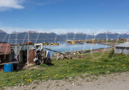 Puerto Almanza; Tierra del Fuego