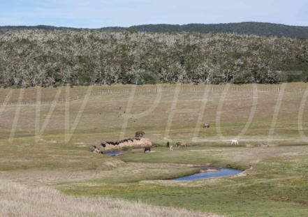 Estancia Rolito; Tierra del Fuego