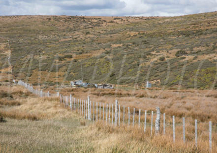 Goldfields above Porvenir